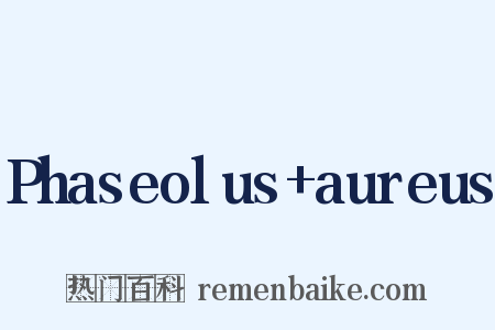 Phaseolus+aureus是什么意思的图片